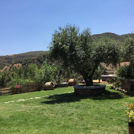 Il Giardino Di Daniela Panzió San Teodoro  Kültér fotó