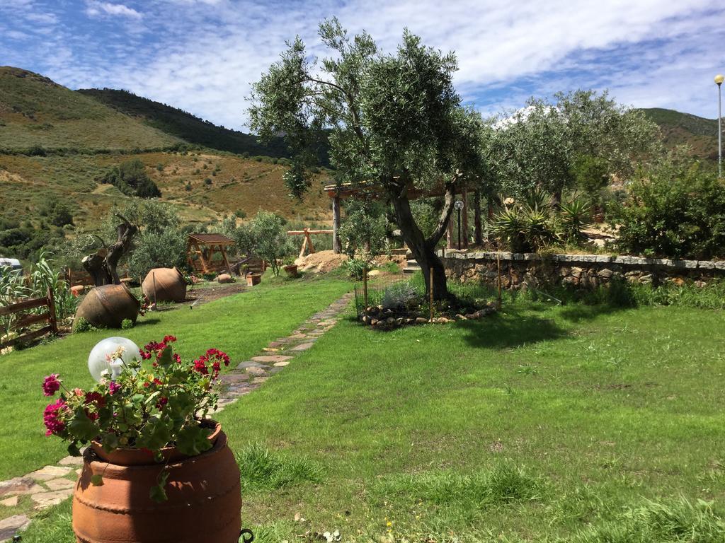 Il Giardino Di Daniela Panzió San Teodoro  Kültér fotó
